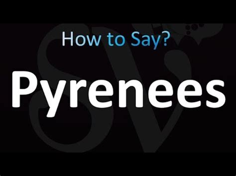 pyrenees pronunciation|How to Pronounce Pyrenees (Correctly!) .